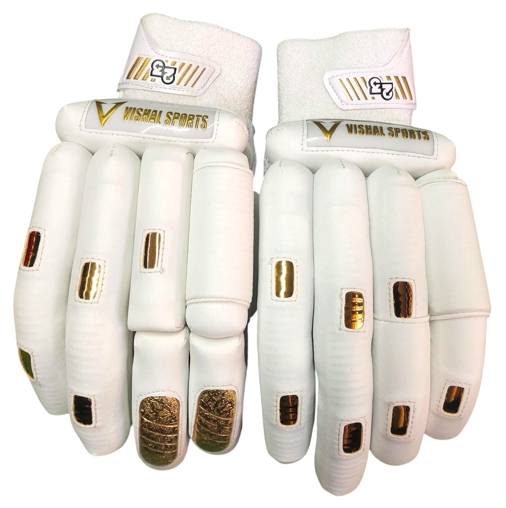 VSP Gold Professional