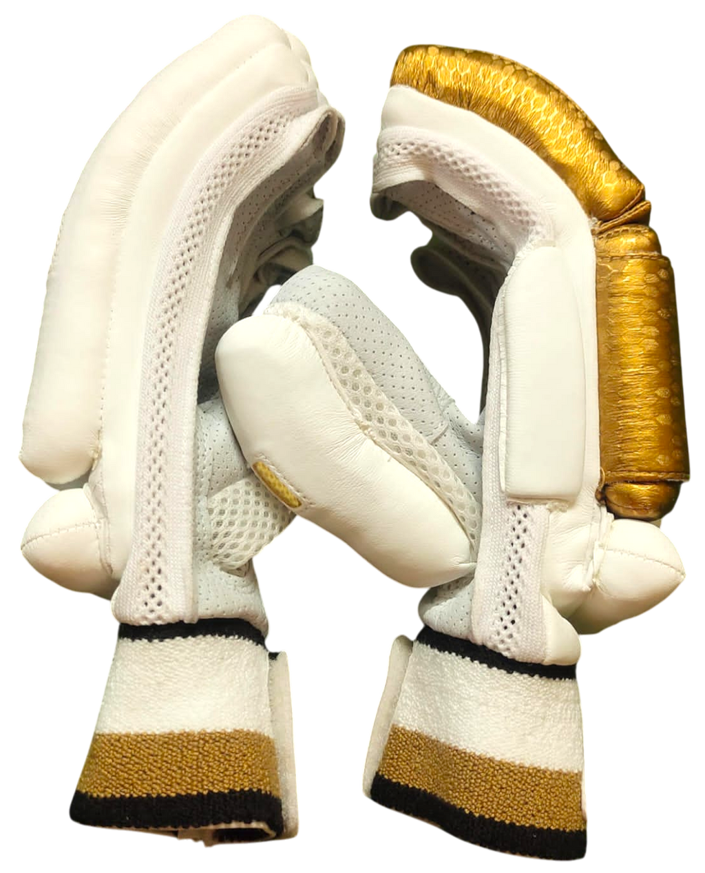 VSP Gold Edition