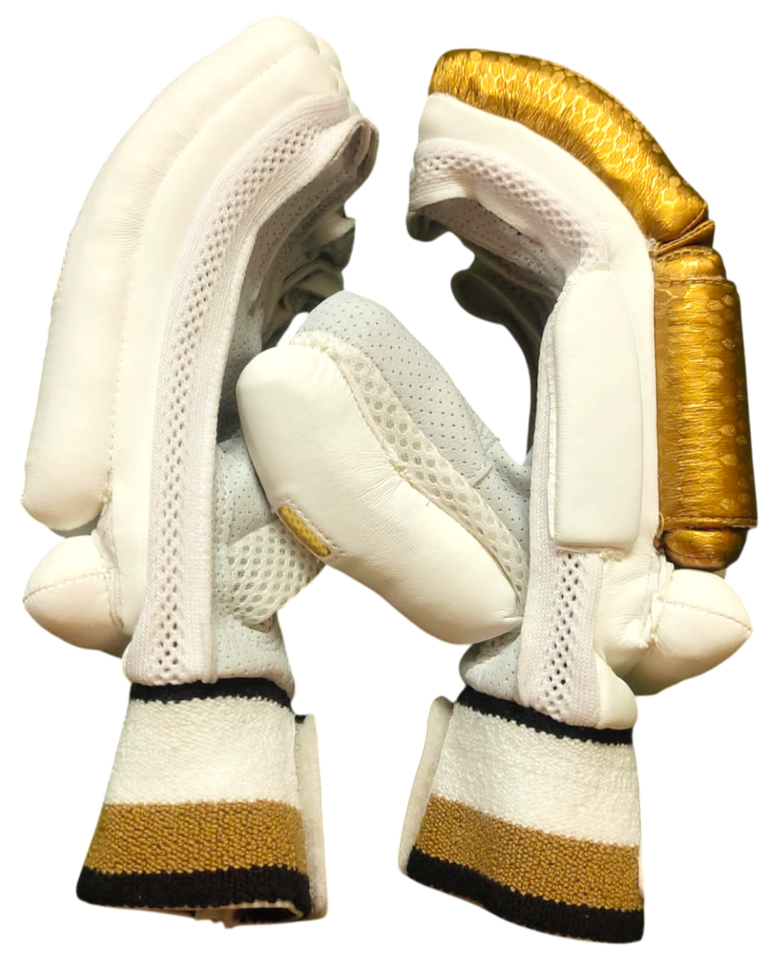 VSP Gold Edition