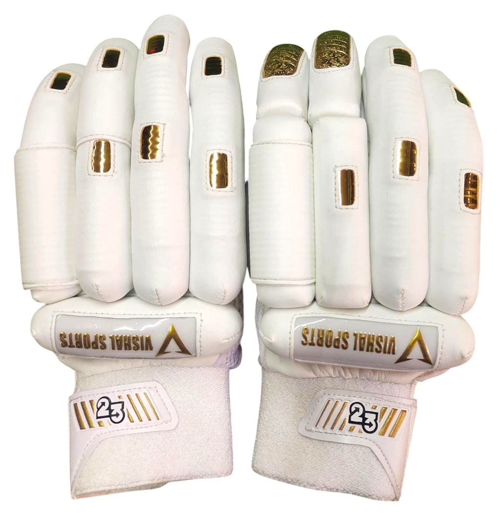 VSP Gold Professional