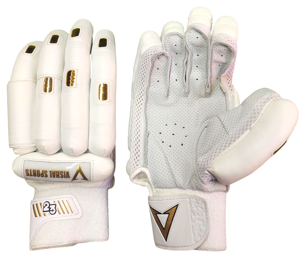 VSP Gold Professional