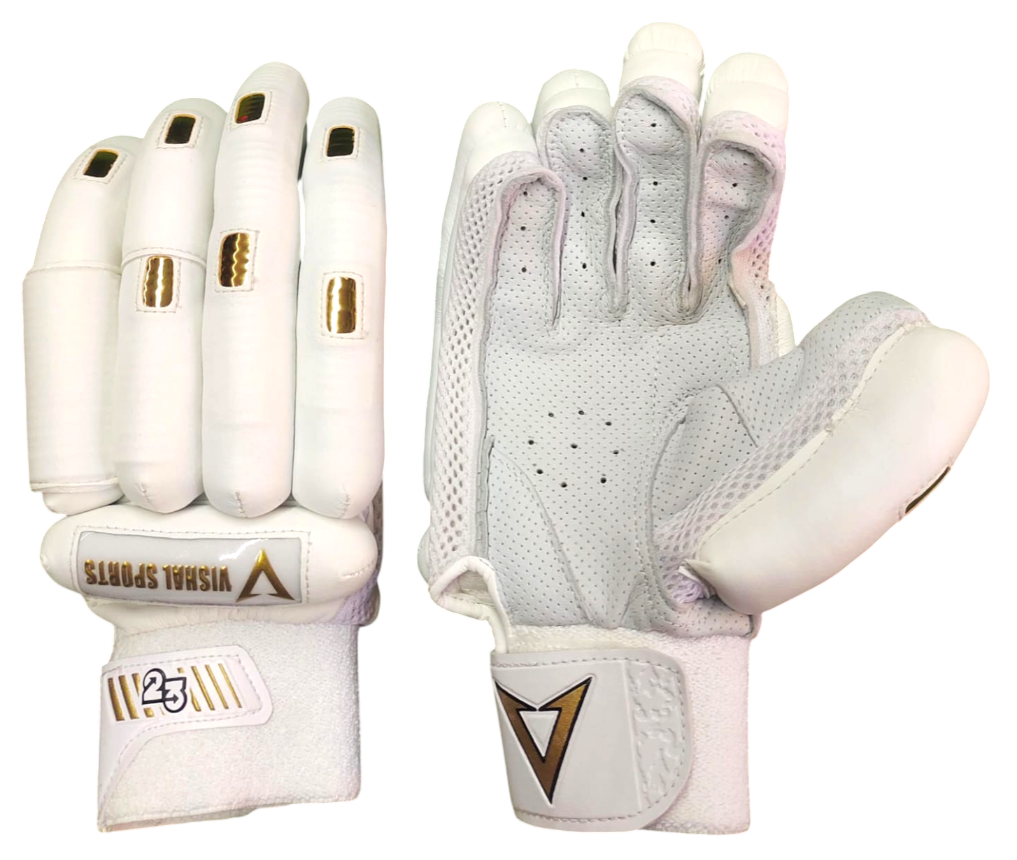 VSP Gold Professional
