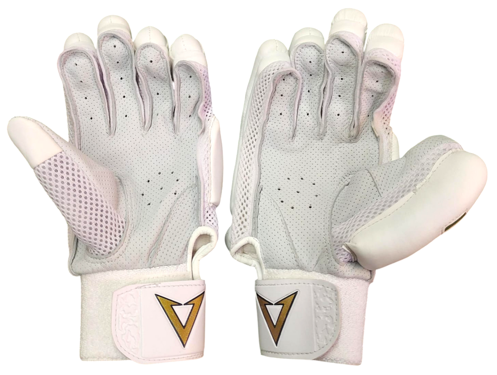 VSP Gold Professional