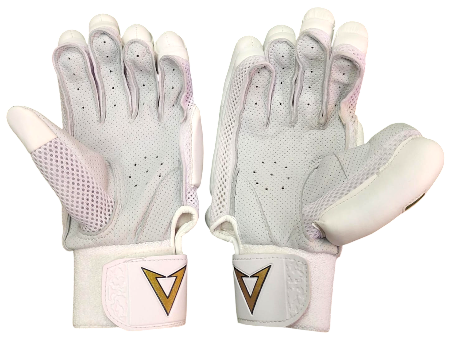 VSP Gold Professional