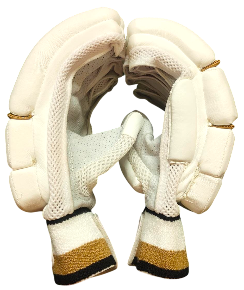 VSP Ivory Gold